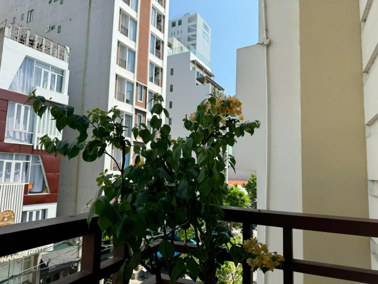 Thanh Hien Hb Hotel Đà Nẵng Ngoại thất bức ảnh
